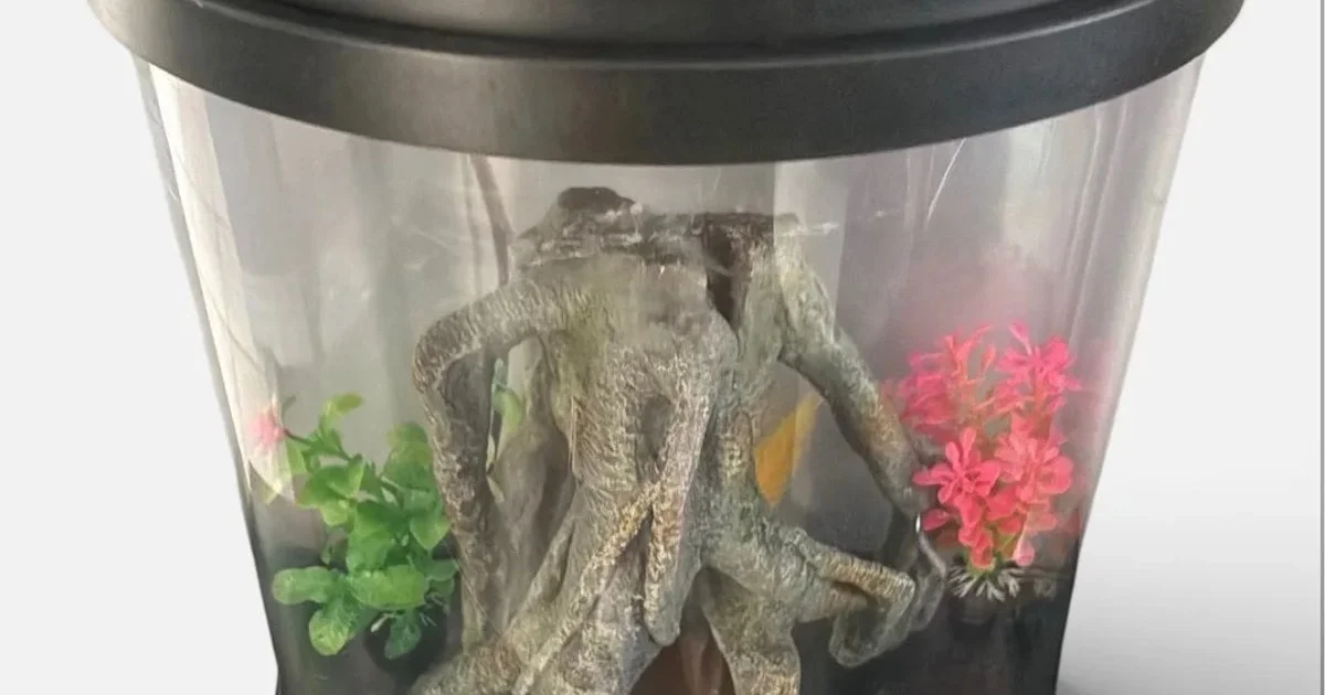 3-Gallon Half Moon Aquarium